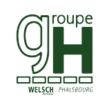 Logo Welsch